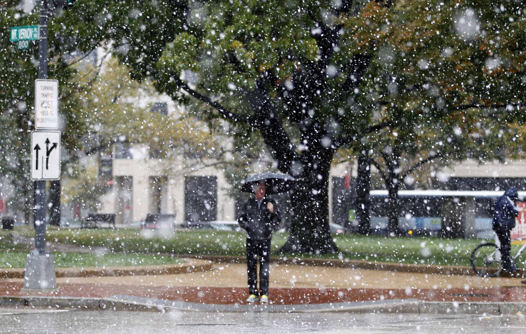 美國(guó)東部迎來(lái)罕見(jiàn)早雪 3人死亡逾200萬(wàn)用戶斷電