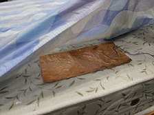 日本發(fā)明對(duì)付打鼾機(jī)器熊枕 聲音過(guò)響可干預(yù)睡姿