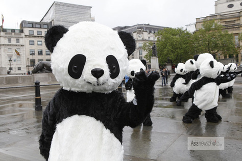 108名“熊貓人”倫敦打太極 呼吁人們保護(hù)野生動物