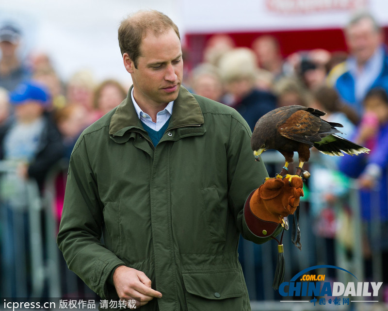 威廉王子農(nóng)展會上客串訓(xùn)鷹師 小心翼翼（組圖）