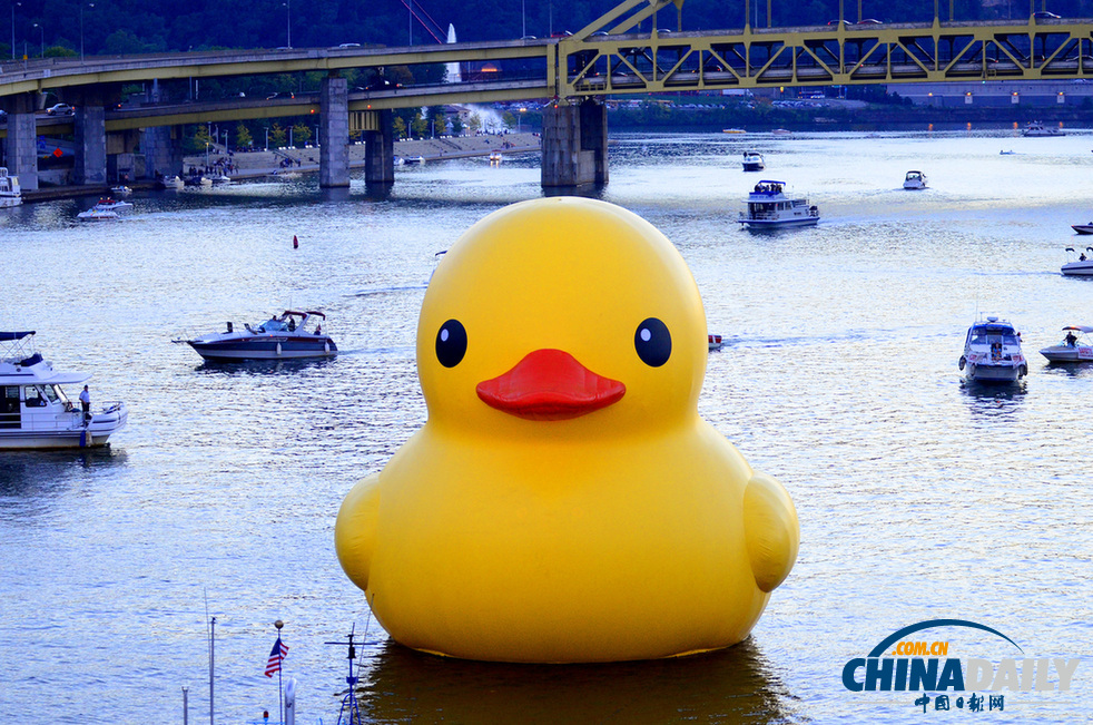 匹茲堡市迎來第一只美國版超萌“大黃鴨”(組圖)
