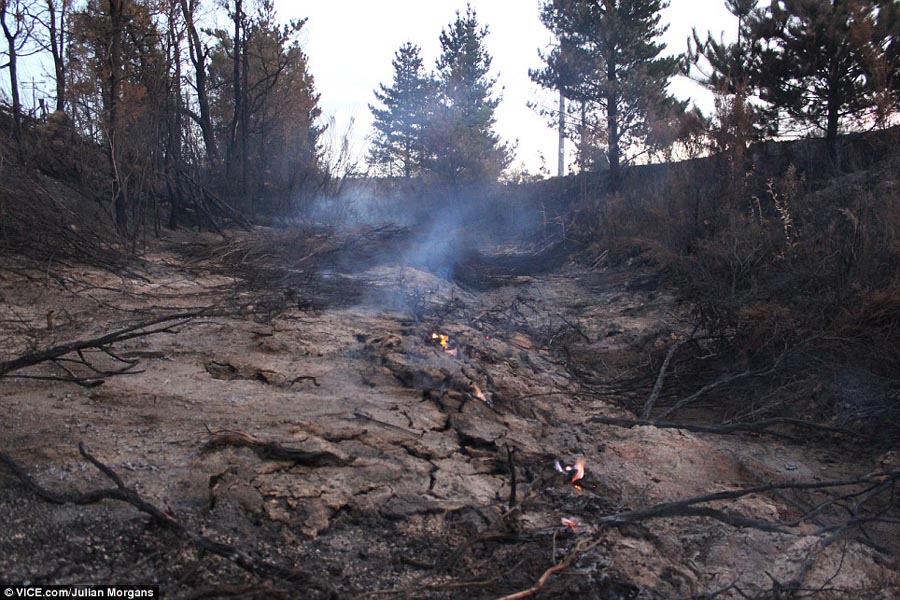 澳大利亞山火吞噬煤礦連燒三周 場(chǎng)景震撼似“火龍”
