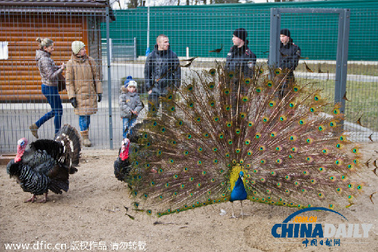 亞努科維奇稱(chēng)自己用320萬(wàn)美元買(mǎi)下基輔附近官邸