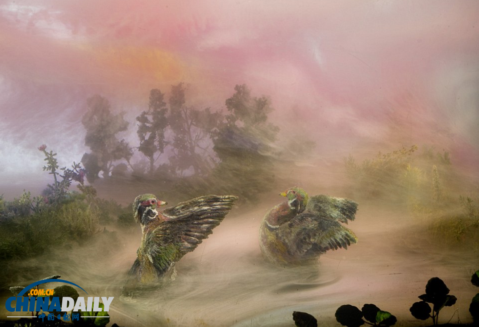 一缸一世界:美藝術(shù)家用魚缸和顏料創(chuàng)史前唯美景觀