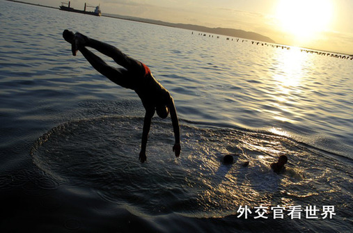 魚躍（二等獎(jiǎng)）