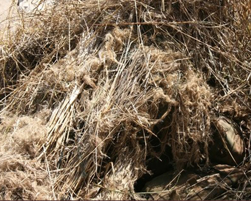 圖片直擊美國陸軍狙擊手“魔鬼”競賽