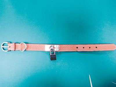 名牌大盜偷高檔店被逮 不識貨勿把