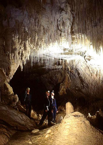 世界奇觀:新西蘭螢火蟲洞