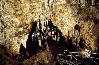 世界奇觀：新西蘭螢火蟲洞