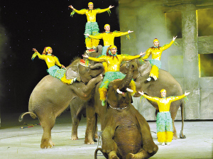 10國百余洋人打造廣州國際馬戲基地收入過億