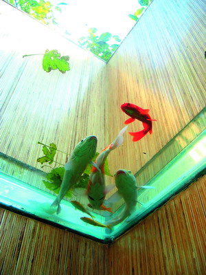 探尋酒吧的私密處(圖)