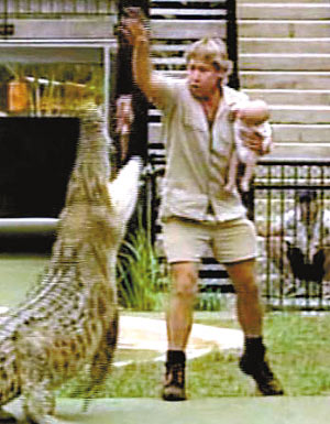 澳洲著名動物衛(wèi)士命喪海底 毒魚刺鰩遭報復(fù)曝尸海灘