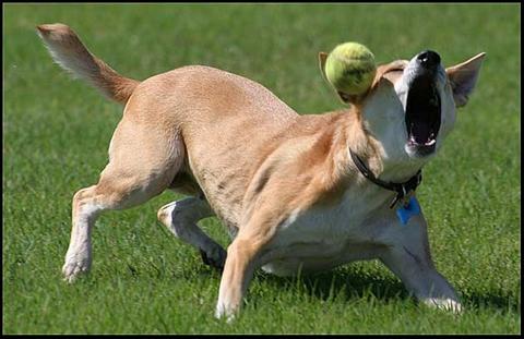 糟糕，瞄偏了！