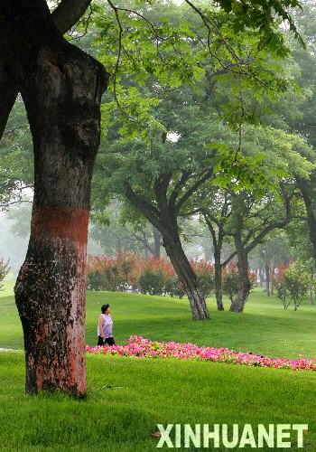  這是這是市民在北京東便門附近的明城墻遺址公園綠地休閑（2007年6月28日攝）。 