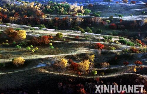 這是內(nèi)蒙古赤峰境內(nèi)的渾善達克沙地深處,被封育的沙地疏林草原呈現(xiàn)出五彩繽紛的景色(2005年10月24日攝)。渾善達克沙地位于內(nèi)蒙古自治區(qū)中東部,總面積710萬公頃,是京津風沙源治理工程的重點。2000年以來,為遏制沙地生態(tài)環(huán)境惡化,內(nèi)蒙古自治區(qū)環(huán)保、林業(yè)等有關(guān)部門加大投入,實施圍封禁牧、退牧還草、飛播造林等工程。目前,渾善達克沙區(qū)林草植被覆蓋率大幅度提高,重點治理區(qū)生態(tài)狀況明顯改善。