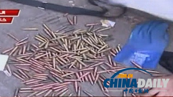 埃及當(dāng)局鏟平廣場示威者帳篷 稱只使用催淚彈