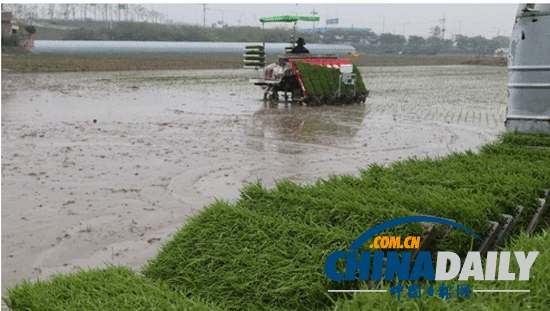 韓國2012年城鄉(xiāng)收入差距超12萬元 創(chuàng)歷史新高