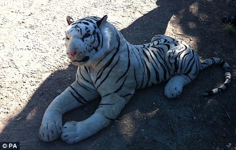 英國警察被忽悠 派出直升機(jī)“圍捕”玩具老虎