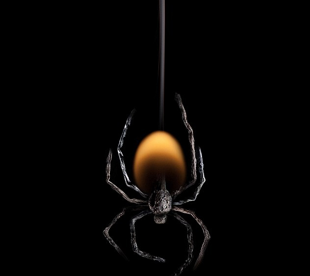 奇妙的作品！俄藝術家用火柴與火苗創(chuàng)造動物形象