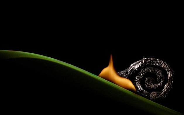 奇妙的作品！俄藝術家用火柴與火苗創(chuàng)造動物形象