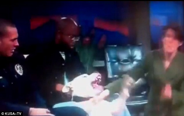 美國(guó)女主持直播中“采訪”烈犬嘉賓 被咬傷嘴唇送醫(yī)院