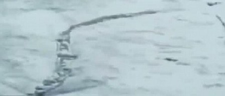 冰島百年水怪今日終現(xiàn)身？盤點幽藍世界詭異“怪獸”