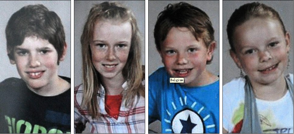 瑞士車禍發(fā)生時司機在放DVD盤？部分遇難學生照片公布