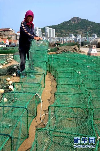 我國東海區(qū)5萬多艘漁船今日起全面休漁