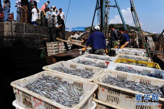 我國(guó)東海區(qū)5萬(wàn)多艘漁船今日起全面休漁