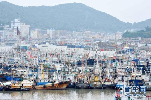 我國東海區(qū)5萬多艘漁船今日起全面休漁