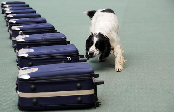 各地開展禁毒宣傳活動(dòng)