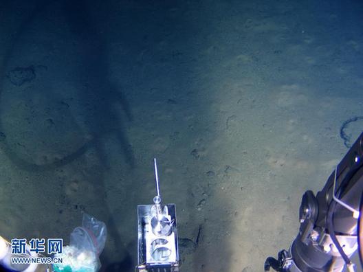 “蛟龍”號(hào)在7062米海底發(fā)現(xiàn)多種生物