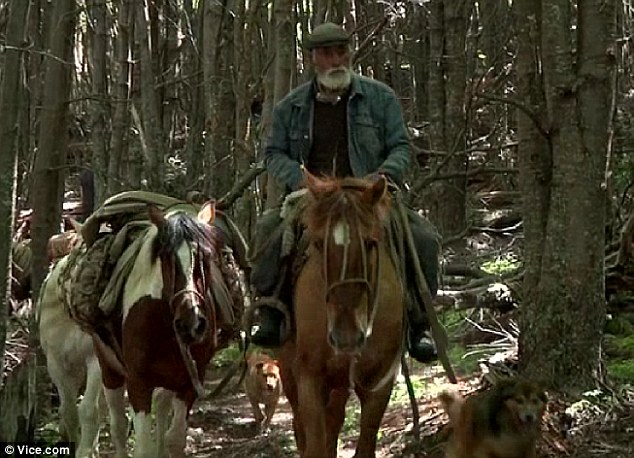世界最孤獨(dú)牛仔:智利81歲老翁獨(dú)居深山46年