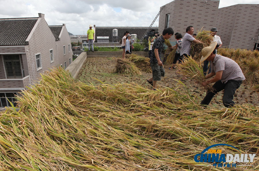 中國(guó)日?qǐng)?bào)一周圖片精選7月28日——8月3日