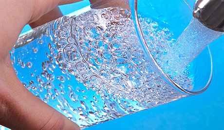 瑞典專(zhuān)家大膽預(yù)言:2050年前世人皆素食方可生存