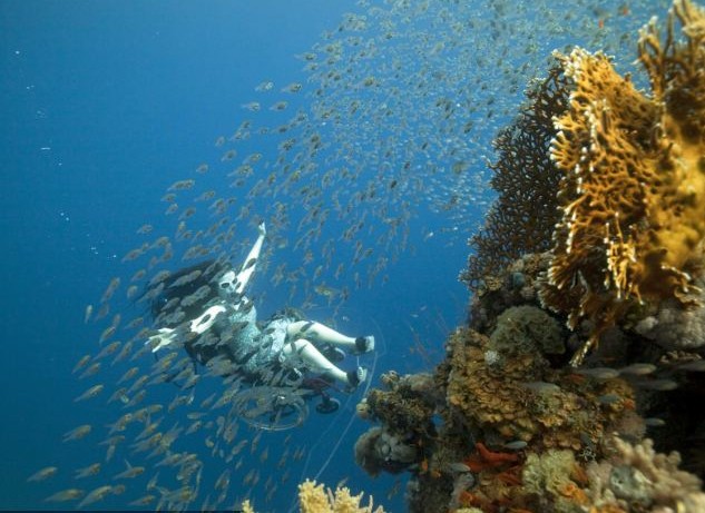 英國(guó)殘疾藝術(shù)家水下創(chuàng)意表演 乘坐改裝輪椅向殘奧會(huì)致敬