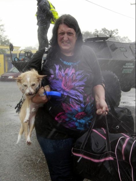 美颶風重災區(qū)一片狼藉：海貍鼠尸體堆積如山、墓碑棺材被沖走