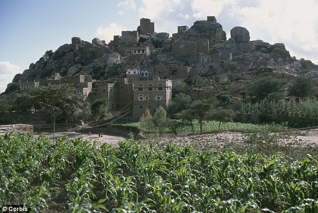 也門女子槍殺強奸未遂者獲死刑 人權(quán)組織猛批量刑不公