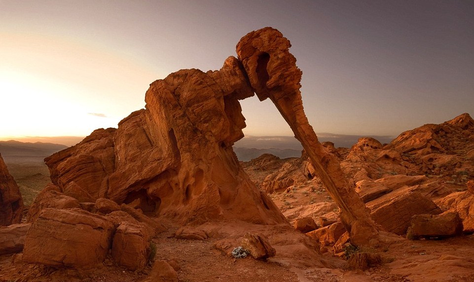 讀圖:錦繡星球之“神作”