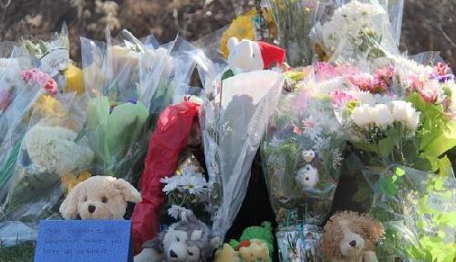 奧巴馬將赴康州參加小學(xué)槍擊案悼念活動并講話