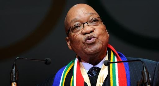 養(yǎng)寵物狗是白人文化?南非總統(tǒng)又發(fā)爭議言論