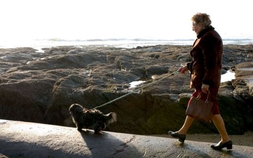 養(yǎng)寵物狗是白人文化?南非總統(tǒng)又發(fā)爭議言論