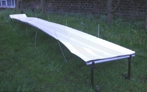 鳥兒也能譜曲？英管弦樂隊演奏鳥糞“樂譜”