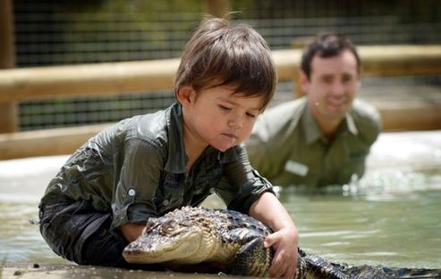 澳大利亞3歲男童同鱷魚親密嬉水 與蟒蛇為友