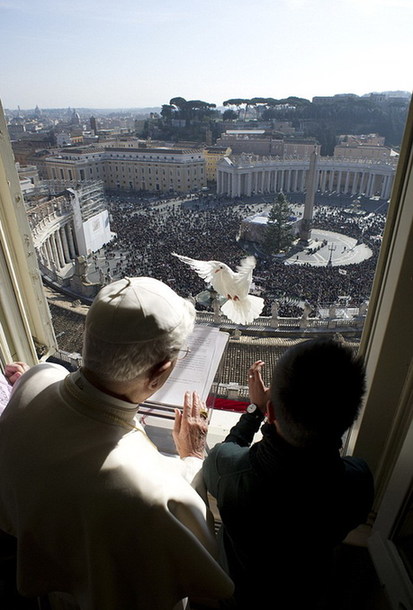 羅馬教皇放飛和平鴿遇“程咬金”差點(diǎn)淪為海鷗口中餐