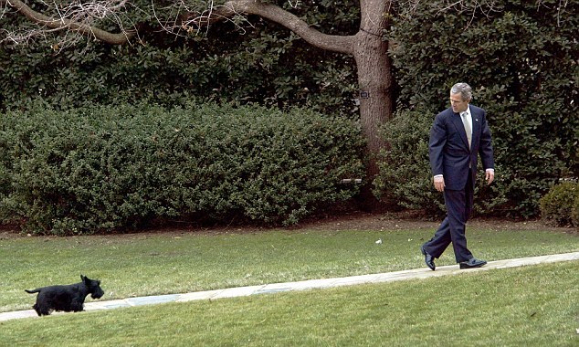 小布什愛犬、前美國“第一狗”巴尼去世 曾遭普京揶揄