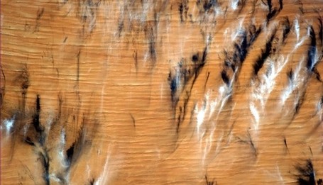 亞馬遜云朵、舊金山夜色 國際空間站俯拍地球美圖