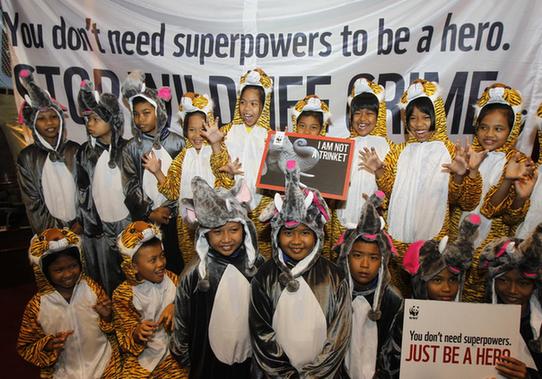 美官員呼吁強(qiáng)化中美合作 打擊野生動植物犯罪