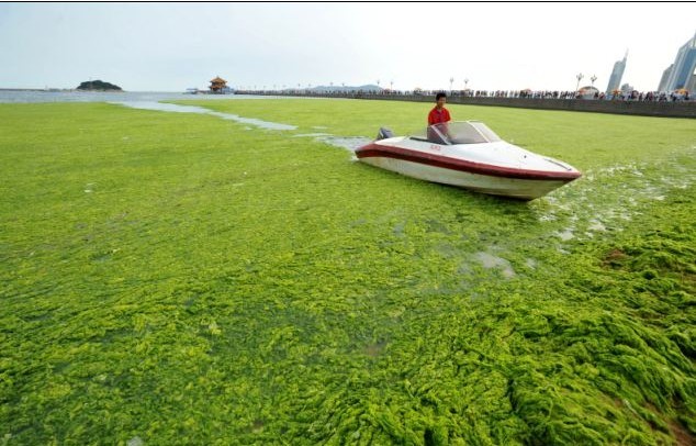 美科學家打造“萬能材料” 可生產(chǎn)盔甲和手機屏幕