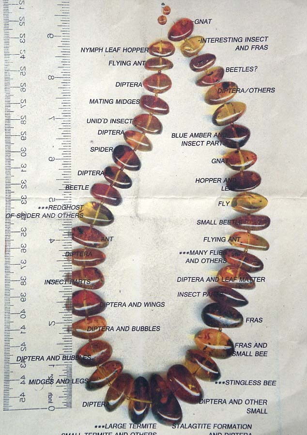 4000萬(wàn)年前琥珀所串項(xiàng)鏈將拍賣(mài) 估價(jià)1萬(wàn)英鎊